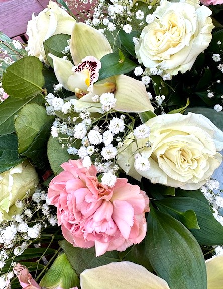 A Morning of Reminders: Love, Loss, and the Circle of Life