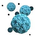 Norovirus - Indelible Learning