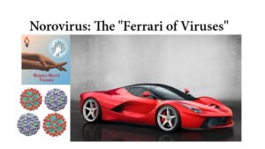 Why Norovirus is the "Ferrari of Viruses" & What You Need to Know About Its Spread