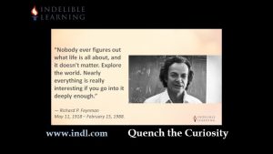 Quench the Curiosity - Indelible Learning - Indelible Learning Curiosity Is the Fuel of Genius